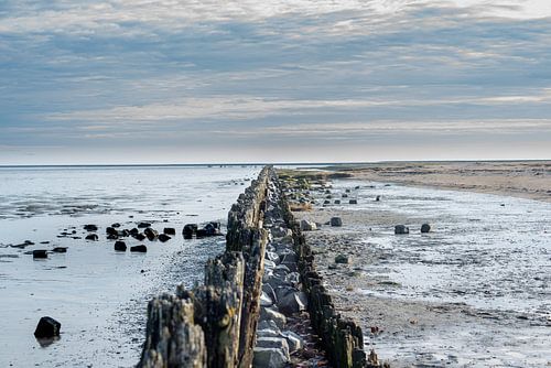 Waddenzee kust @Moddergat-Paesens (Friesland)