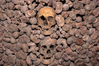 Solemn Memento Mori - Skulls and bones to gothic libray
