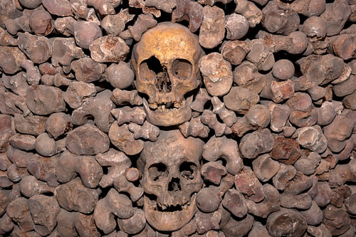 Memento Mori solennel - Crânes et os dans une bibliothèque gothique