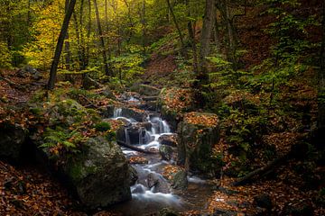 Autumn in the Ardennes von Rob Bout