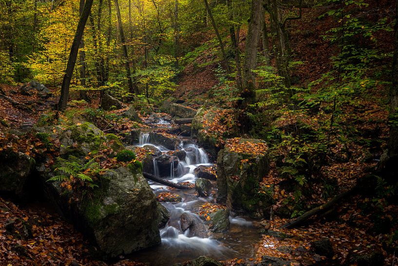 Herfst Ardennen von Rob Bout