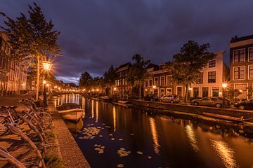 Leiden by Carla Matthee