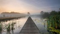 Foggy start of the day
