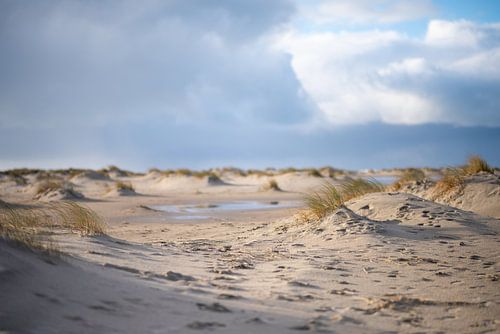 Texel, het strand en de duinen