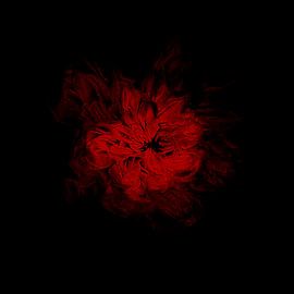 August van Evgeniya Wesseling