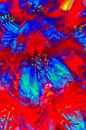 Roodblauwe rododendronbloesem, abstract, rood-blauw, rhododendron, abstract van Torsten Krüger thumbnail