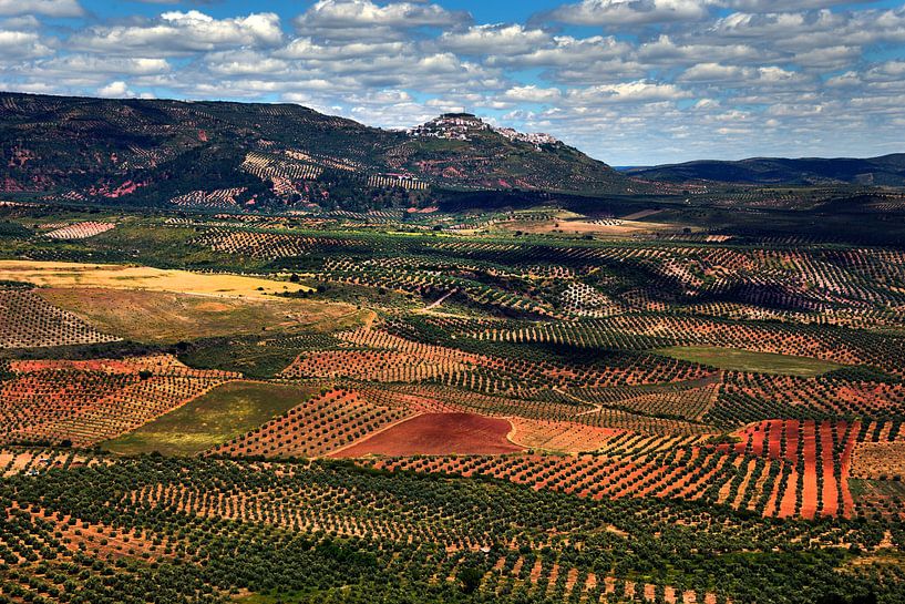 Patchwork in Andalusië von Harrie Muis