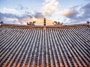 Toiture en ardoise chinoise sur Stijn Cleynhens