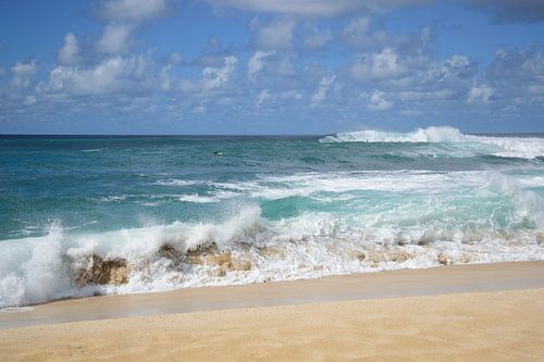 Surfers paradijs