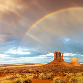 Regenboog boven Monument Valley van Reismaatjes XXL
