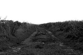 oude landweg by Jean Jacobs
