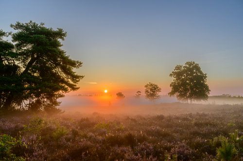 Zonsopgang boven een heidelandschap