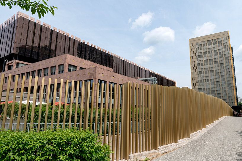Palais de la Cour de Justice van Richard Wareham