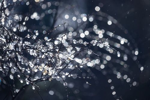 Bevroren regen op een winterse dag