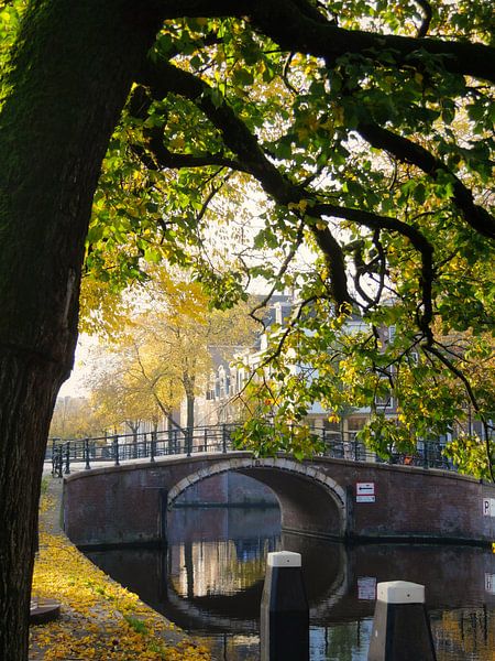 rêve d'automne par Odette Kleeblatt