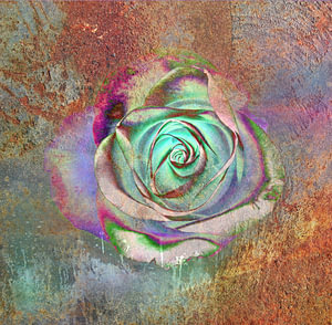 Deco Rose in Rost