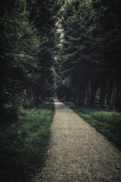 So wonderfully quiet by Anja Volder