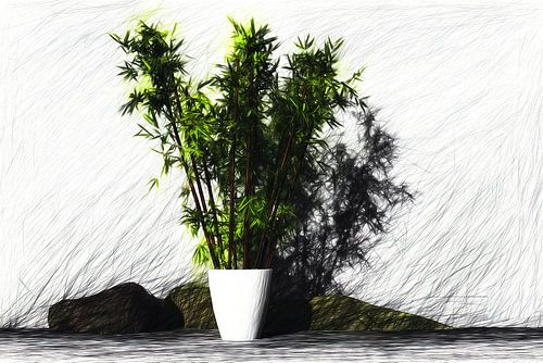 Bamboe en schaduw in minimalistische harmonie