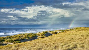 les dunes et la mer du Nord depuis la Hollande septentrionale