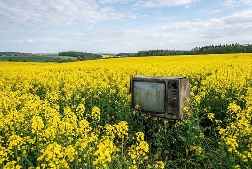 Ein verlassener Fernseher auf einem gelben Feld