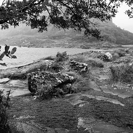 zwartwit landschap in de regen van Fred Lenting