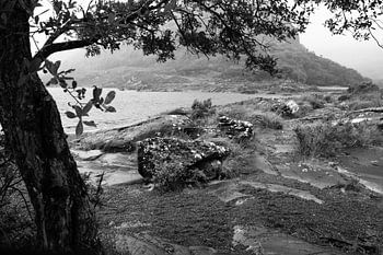 Schwarz-Weiß-Landschaft im Regen