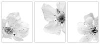 Triptychon - Blüte von Joost Horsten Miniaturansicht