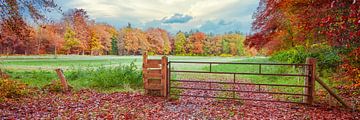Niederländische Landschaft im Herbst von eric van der eijk