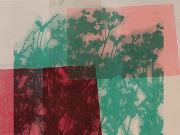 Grüne Blüten auf rosa, rot und weiß von Dina Dankers