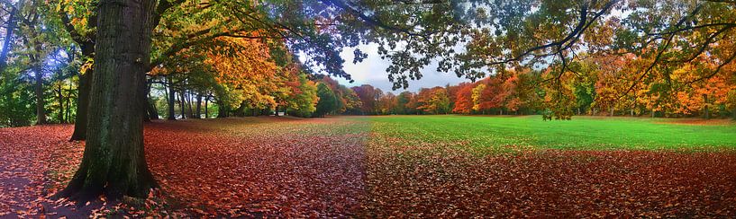 Panorama d'automne 5 par Edgar Schermaul
