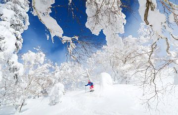 Freeride skieur Japon