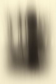 organic life forms in BW von Francois Debets