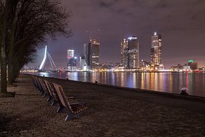 The colours of Rotterdam