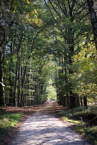 Gemeinsam von Anton de Wolff