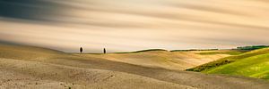 Toskanische Landschaft im Panorama