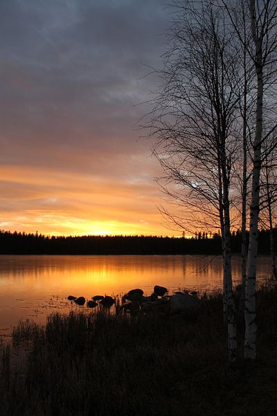 Sunset by Jasmijn Peele