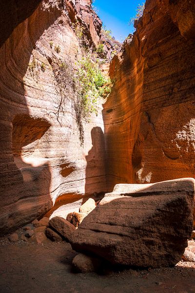 Gran Canaria Canyon von Tim Lee Williams