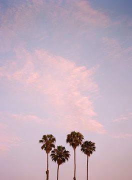 Zonsondergang San Diego van Bethany Young Photography