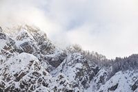 The Mountain Collection | Misty Mountains