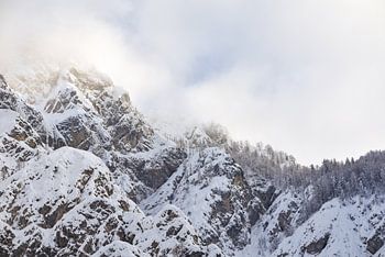 The Mountain Collection | Neblige Berge