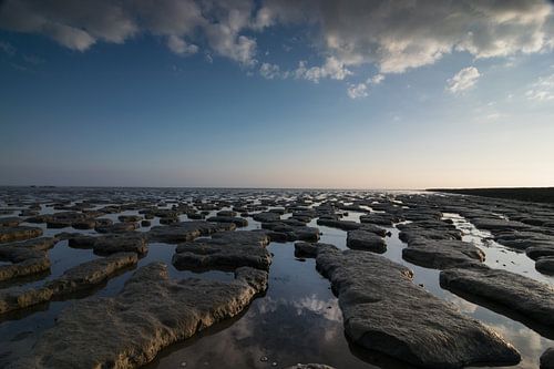 Waddenzee tijdens eb
