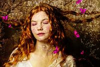 Reveries in bloom