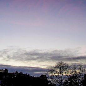 Paars Edinburgh | Panorama van Karina Alvarenga