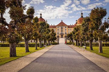 Schloss Moritzburg (Sachsen) von Rob Boon