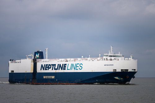 Neptune Horizon