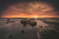 Foundlings in the sunset