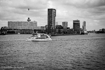 De Skyline van Rotterdam 