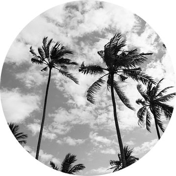 Palmbomen aan het strand in Bali van Ellis Peeters