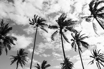 Palm trees at the beach in Bali by Ellis Peeters