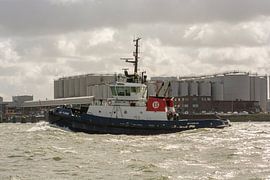 Schlepper Furie im Hafen von Rotterdam von scheepskijkerhavenfotografie